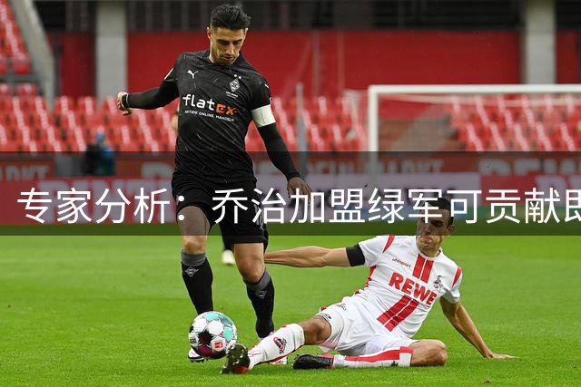 专家分析：乔治加盟绿军可贡献即战力 难成决定性球星